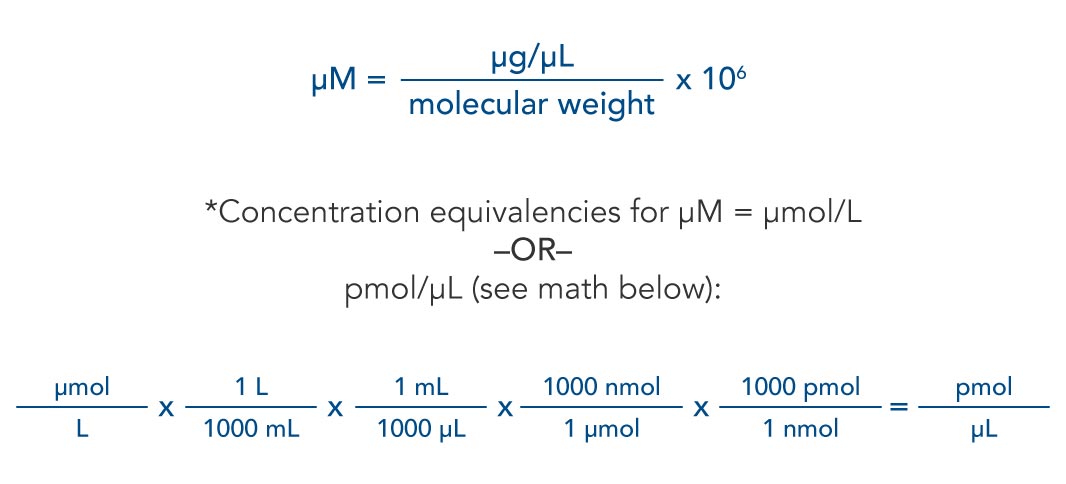 calculation molecular weight concentration dna calculator nucleic calculating mol molar calculate acids diluting tips chemical μm formulas oligo oligonucleotide rna