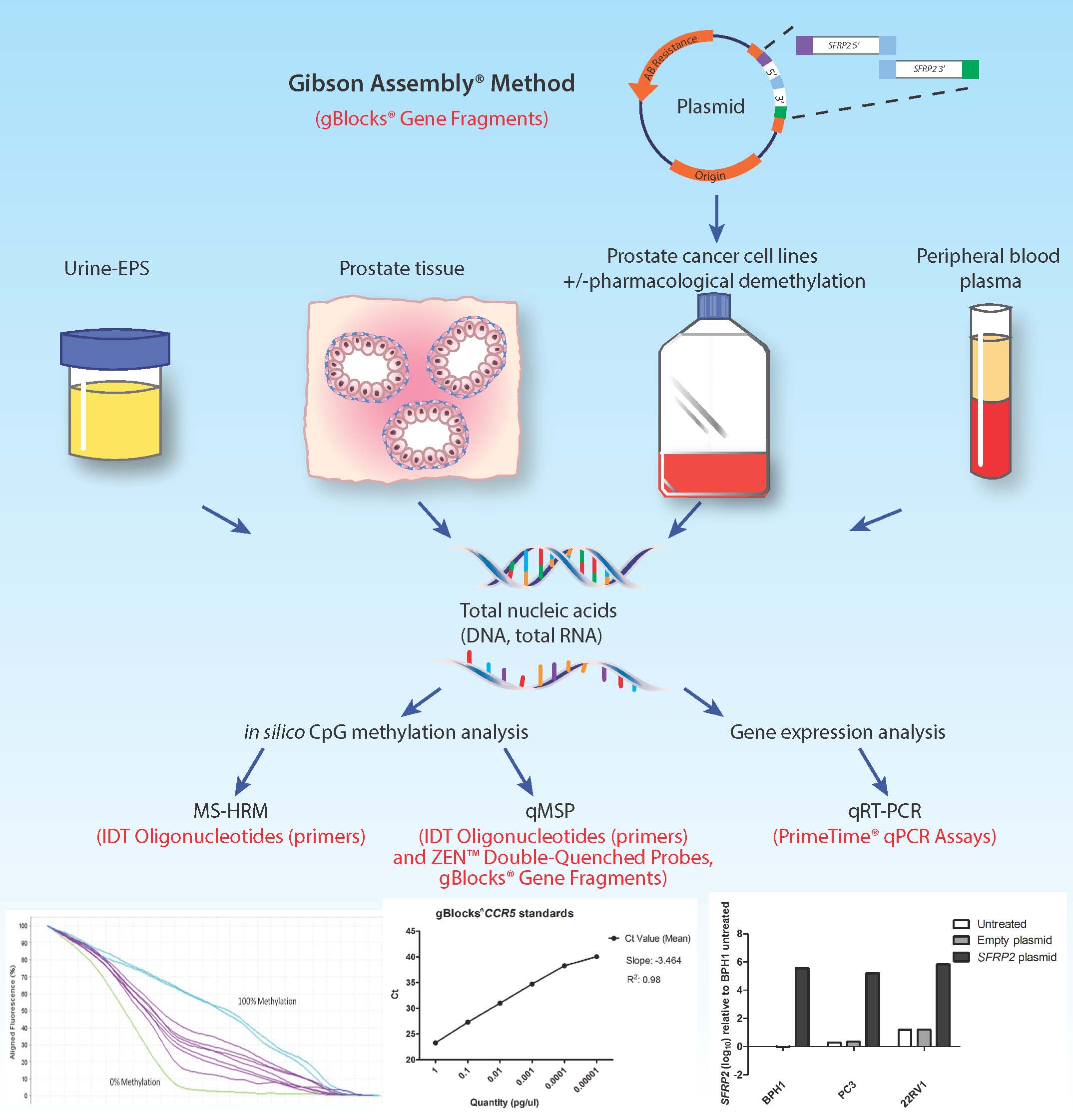 Epigenetic Biomarkers For Prostate Cancer